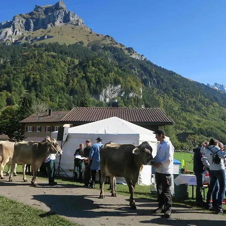 Apartment Chalet Heureka-Horbis * Engelberg