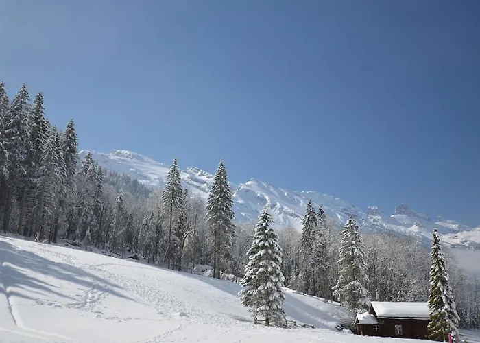 Apartman Heureka-horbis By Interhome Engelberg